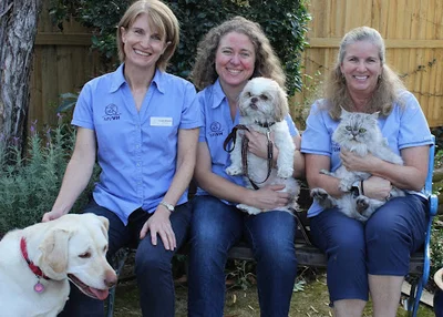 Mona Vale Vet Hospital